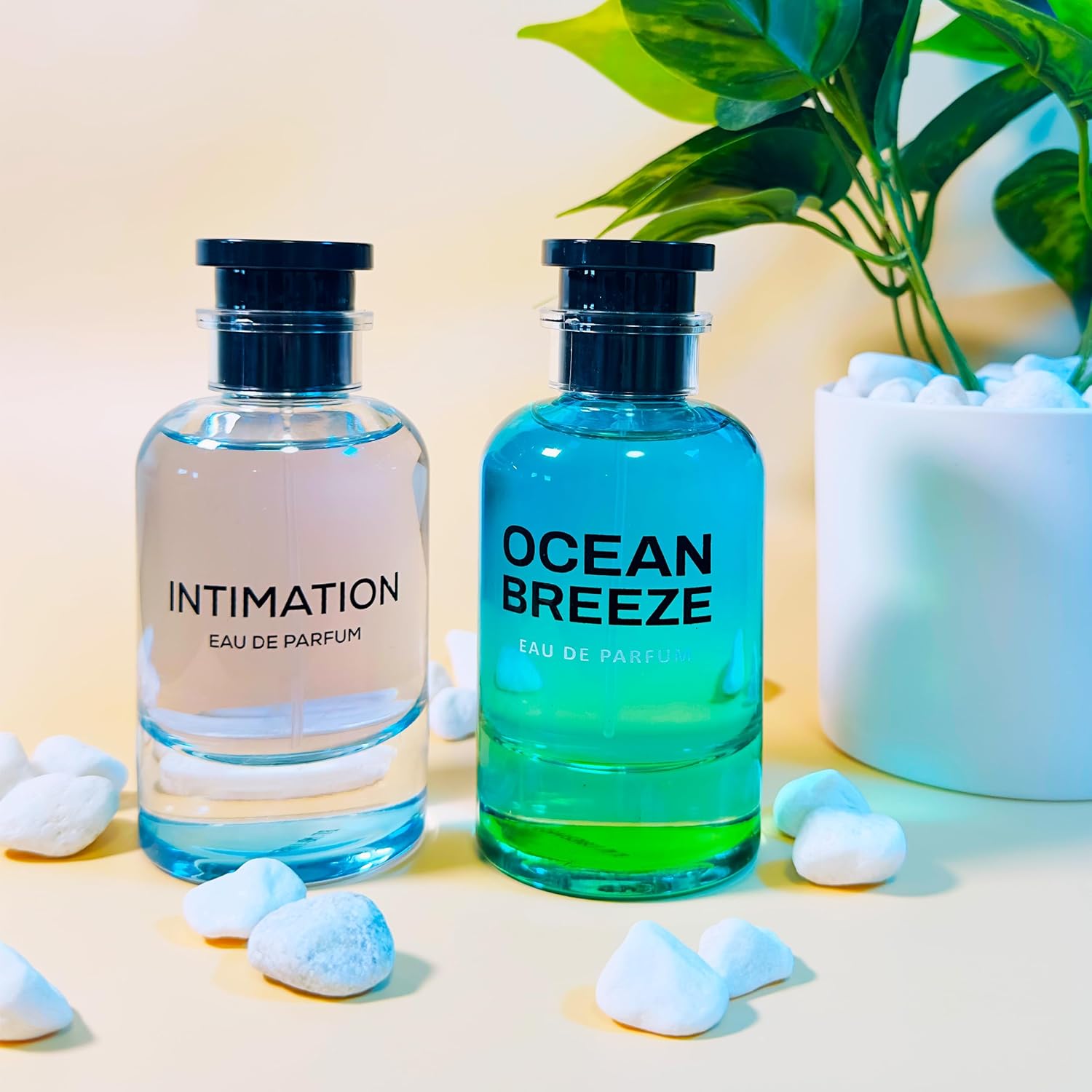 Emper Intimation & Emper Ocean Breeze Perfume Combo 100 ML Unisex Perfume Spray